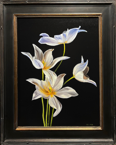 Click to view detail for White Tulips 24x18 $1500